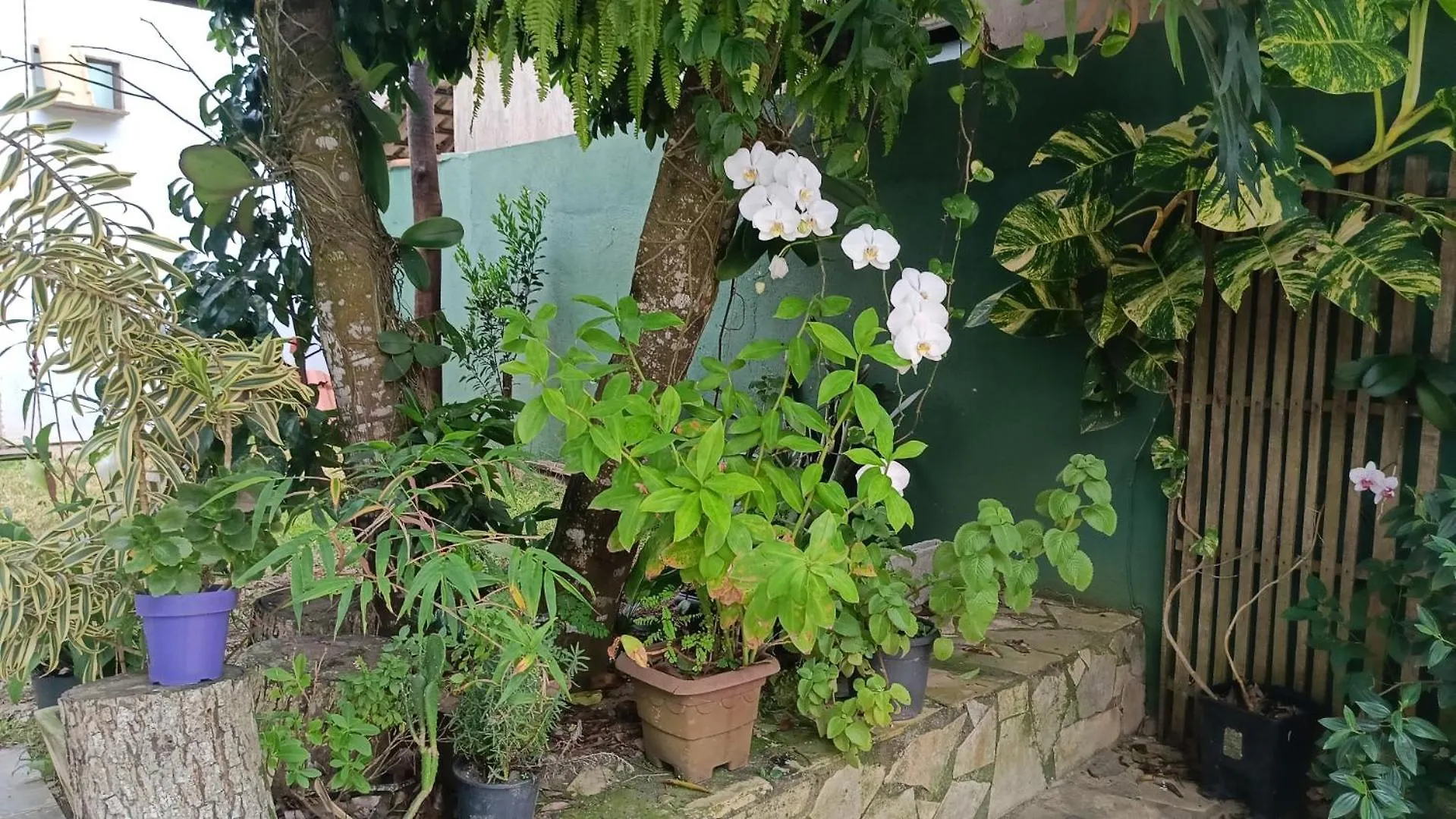 בית נופש Búzios Casa Independente De 4 Quartos E Piscina! ברזיל